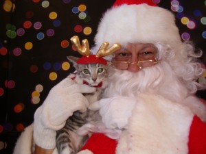 Santa paws photos Santa Paws photos